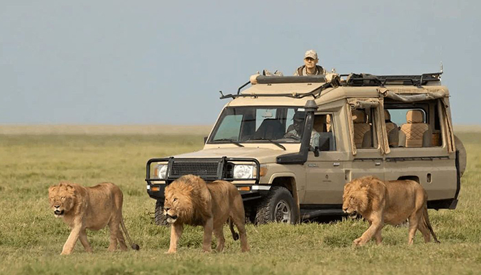 Tarangire National Park